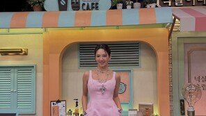 효연, 분홍 드레스에 물오른 미모…“나도 핑크 좋아”