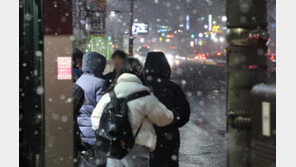 밤새 강원서 20cm 넘는 눈폭탄…여객선 49척 운항 중단