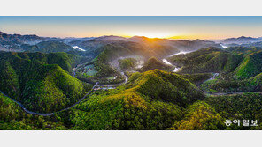 세계유산 등재 효과…울산암각화박물관 관람객 ‘북적’