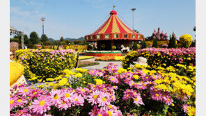 함평 대표 축제 ‘국향대전’ 대한민국 축제 콘텐츠 대상 수상