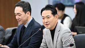 與, ‘댓글 국적 표기’ 장동혁에 “극우 유튜버 주장과 같아”
