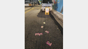 강남 ‘19금’ 낯뜨거운 전단지 결국 덜미… 45만여장 압수