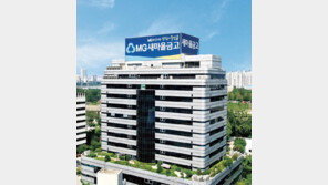 금감원, 새마을금고 건전성 집중 관리 나선다…전담인력 증원