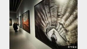 韓-加 문화교류 기념 ‘버틴스키’展