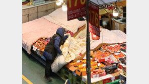 과일들아, 밤새 이불 잘 덮고 잤니