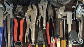 [고양이 눈]다시 꿈꾸며