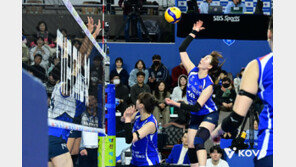 0-2 → 3-2 뒤집은 IBK기업은행, 4연승으로 4위 도약…‘봄 배구’ 보인다