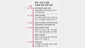 北 ‘무인기 침범’ 주장에, 토요일 4차례 입장 내놓은 정부