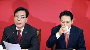 국힘 “제주항공 참사, 수사 지연은 민주당 책임있기 때문” 