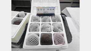 반려동물 물품으로 위장…중국산 불법 농산물 1150t 밀수 적발