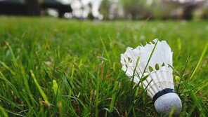 연수 중 배드민턴 치다 사망한 교사…법원 “공무상 재해로 못 봐”