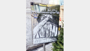 [고양이 눈]길 위에서 만난 추상화