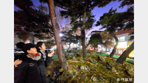 ‘이끼 정원’에서 맑은 공기 마셔요