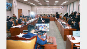 與, ‘2차 특검법’ 법사위 일방 처리…野 “지방선거용 내란몰이”