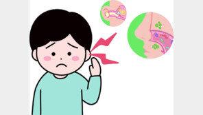 초등생 중이염 오래가면, 코 뒤쪽 ‘아데노이드 서식 세균’ 의심