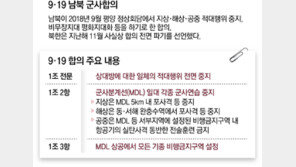 [단독]휴전선 군사훈련 중지 우선 검토… 軍 “정찰 중단은 단계적으로”