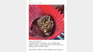 “카다이프 대신 소면?”…두쫀쿠 인기에 ‘꼼수’ 의심[e글e글]