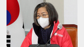 “이재명 두 아들 군면제” 허위 글 올린 이수정 벌금 500만원 구형