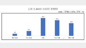 소상공인 53% “작년 경영환경 안 좋았다” 울상…원인은 ‘내수부진’