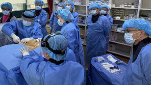 中 허리 건강 중심에 한국 ‘추간공확장술-반강성고정술’ 있다