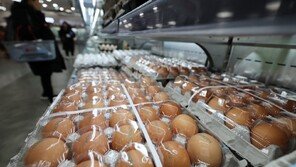 ‘1+·1·2등급’ 계란 품질등급 표시한다…중량 규격 ‘왕란’→‘2XL’