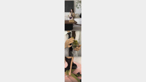 ‘서울대 남편♥’ 효민, 파격 비주얼로 올린 근황 공개