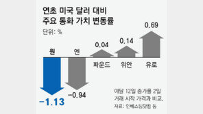 수출입 업체 101곳 불법 외환거래 적발… 무신고 해외보관 많아