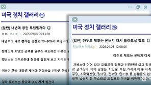 “트럼프, 李에 까불면 다친다 경고” 거짓선동 커뮤니티 기승