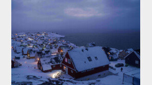 그린란드 “美와 병합 반대… 나토 보호 받을 것”