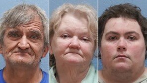 “봉지 속 죽은 개 29마리…영양실조 개들도 무더기 발견”