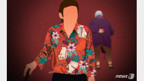 80대 일본인 남성 성폭행한 40대 중국인…한 달 전엔 70대 성추행