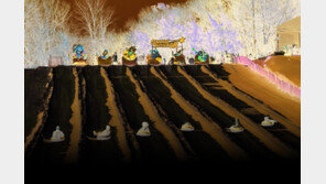 에버랜드 “질주하거나… 인생샷 남기거나!”