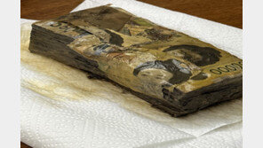 “동작 그만!”…불에 탄 돈 손대지 말아야 하는 이유 [알쓸톡]