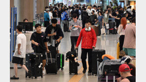 “죽었니?”…中 1인가구 급증 속 안부 확인 어플 인기