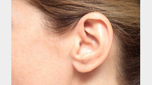 추워서 그런줄 알았는데…귀 안쪽 쿡쿡 통증의 ‘정체’