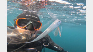 “심해 900m 괴물고기 왜 여기에?”…연안 5m에서 산채로 발견