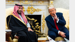 사우디·오만·카타르, 美에 ‘이란 공습 반대’ 물밑 로비