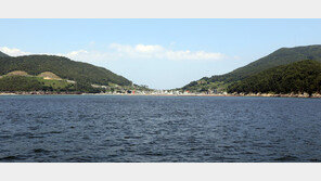 가덕도신공항 사업 재시동…대우건설 컨소시엄 입찰 나선다