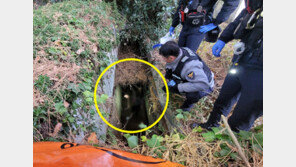 “살려주세요 나 여기있어요” 배수로 5m 아래서 들린 목소리