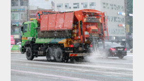 “우리 개 발바닥 상처 난다”…산책로에 제설제 뿌리지 말라 민원 넣은 견주들