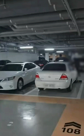 “차 때리면 어쩌려고”…지하주차장서 테니스 연습 눈살(영상)