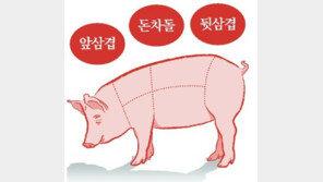 앞삼겹, 돈차돌, 뒷삼겹[횡설수설/우경임]