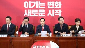 국힘, 2차 종합특검법에 “파묘하듯 죽은 권력만 파헤쳐”