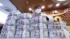 연말부터 ‘달러 사재기’ 계속…“달러화 환전 수요 한화의 5배”