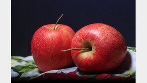 탄산음료보다 더 달다? 한국인 당 섭취 식품 1위는…