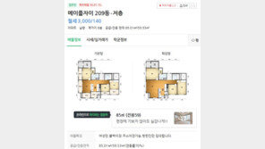 “40억 아파트 집주인과 함께 거주”…방 한 칸 매물 등장