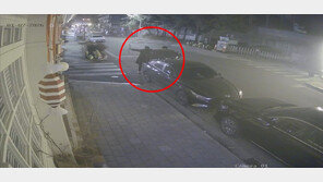 개와 산책하는 사람 향해 활쏜 20대 “사람 있는 줄 몰랐다”