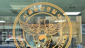 현직 경찰관, 관내서 음주운전 적발…입건 후 조사 중