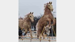 억새로 표현한 억센 말의 힘