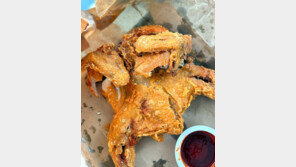 어스름 날것 싣고 뭍에 나와… 통닭 한마리로 마치는 항해[김도언의 너희가 노포를 아느냐]